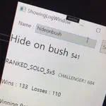 Using Riot API with WPF